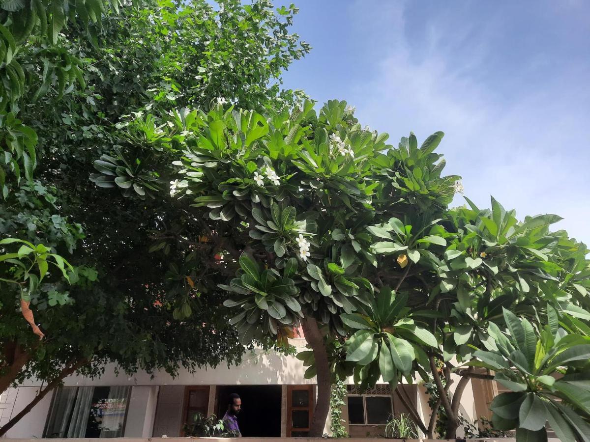 Mukam, Boutique Homestay Divisione di Divisione di Jaipur Esterno foto